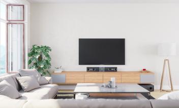 Interior of a modern, bright and airy living room with a plant, television, audio system, coffee table and couch