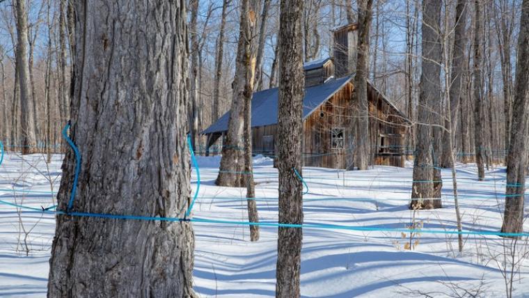 Canadian Organic Maple moves toward carbon neutral