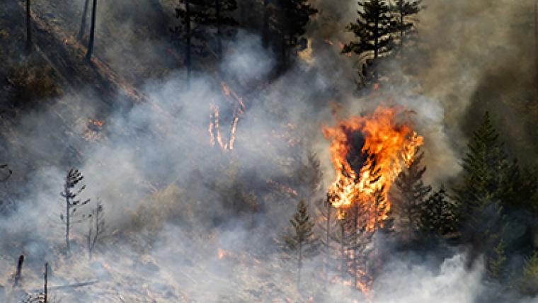 Impact Of Climate Change On Forest Fires (AskNRCan)