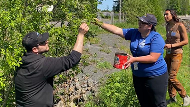 Conserving Tree Seeds with Indigenous Communities