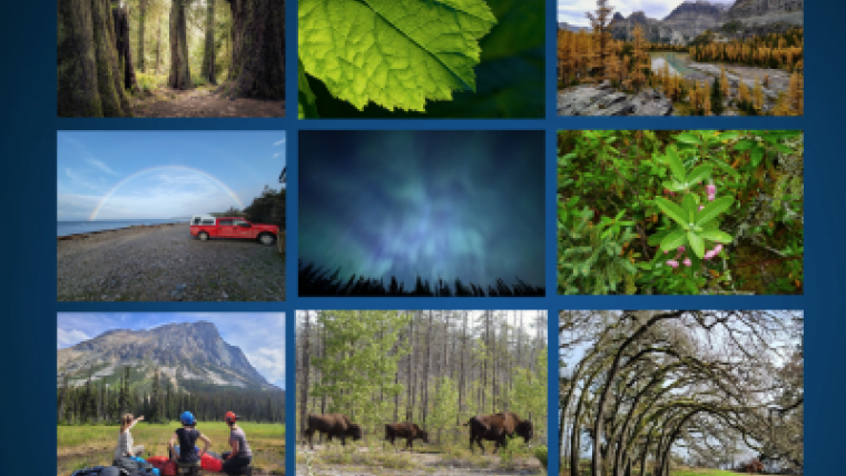 CFS researchers have the best “office” views in Canada