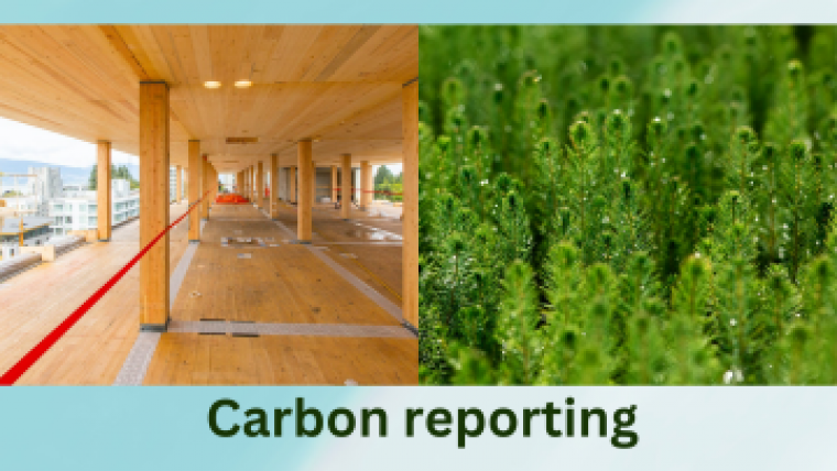 Carbon reporting