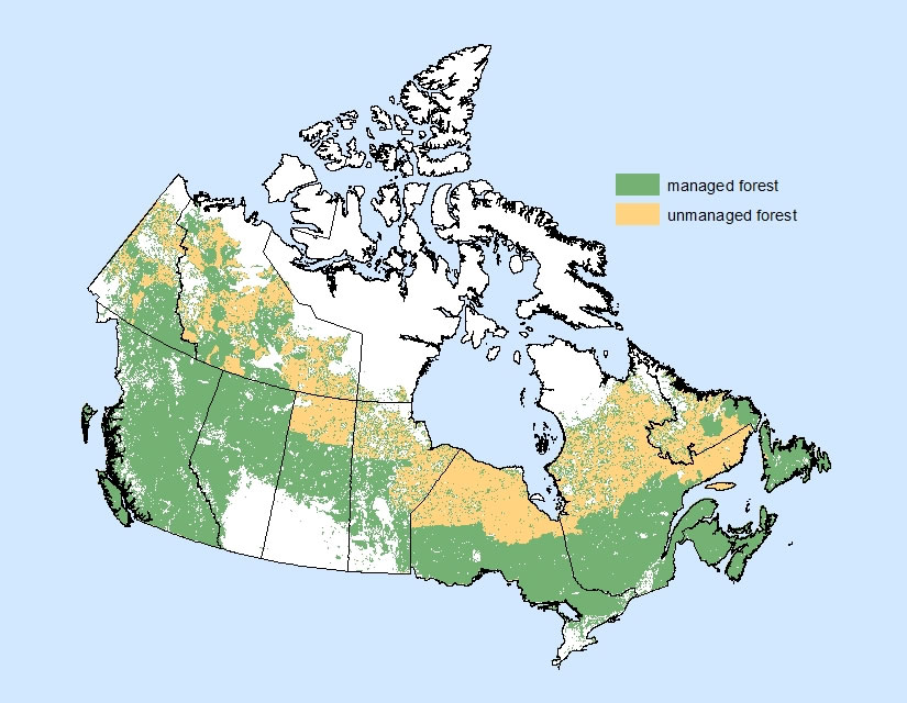 Лесные ресурсы канады карта